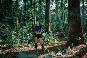 BIB: 
                            <button type="button" onclick="openModal(26129988)" class="btn btn-primary btn-sm float-right btn-popup" data-toggle="modal" data-target=".modal-high-quality">
                        <i class="fas fa-shopping-cart"></i> Add to Cart
                    </button>
                                            <button type="button" onclick="isThisMe(26129988, true)" class="btn btn-success btn-sm float-right btn-popup btn-isme hidden" data-toggle="tooltip" data-placement="bottom" title="นี่คือรูปของคุณใช่ไหม คลิกที่นี่เพื่อเอาเข้าอัลบั้ม">
                        <i class="fas fa-plus"></i> Add to album
                    </button>
                    <button type="button" onclick="isThisMe(26129988, false)" class="btn btn-warning btn-sm float-right btn-popup btn-isnotme hidden">
                        <i class="fas fa-ban"></i> Remove from album
                    </button>